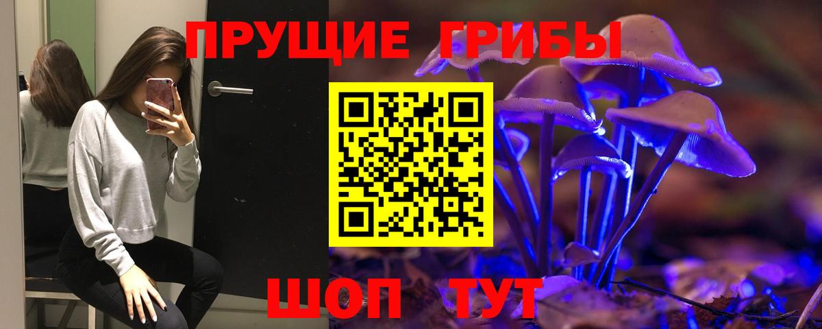 Коммунар  Галлюциногенные грибы Psilocybe  Псилоцибиновые грибы Psilocybe  Вход с VPN 